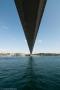 ELV_3733