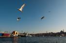 ELV_3892