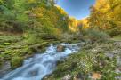 _ELV7677_78_79_80_81_82_83