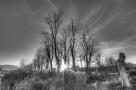ELV_9105_6_7_8_9