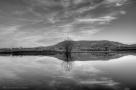 ELV_9135_6_7_8_9