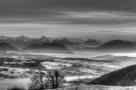 ELV_0283_4_5_6_7
