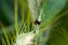 ELV_2534