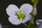 ELV_9441