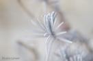 ELV_5282