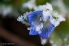 ELV_5305