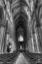 D3S_9488_89_90_91_92