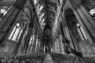 D3S_9563_4_5_6_7