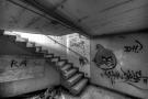 D3S_0017_18_19_20_21