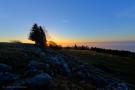 D3S_0723_5_7