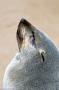 D3S_7714
