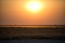 D3S_8410