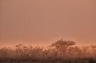 ELV_3625