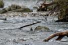D3S_6469