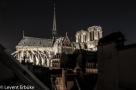 ELV_5967