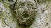 D3S_3964