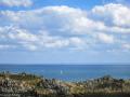 IMG_0916