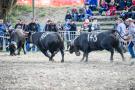 D3S_4573