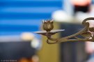 D3S_0617