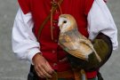 D3S_4470