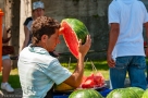 ELV_4357