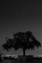 D3S_4551