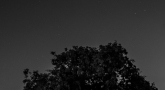 D3S_4551